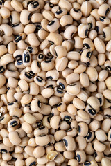 Group of black eyed or Cowpea beans