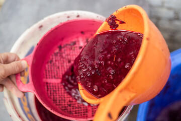 Crushed grapes are pressed through a sieve to make wine