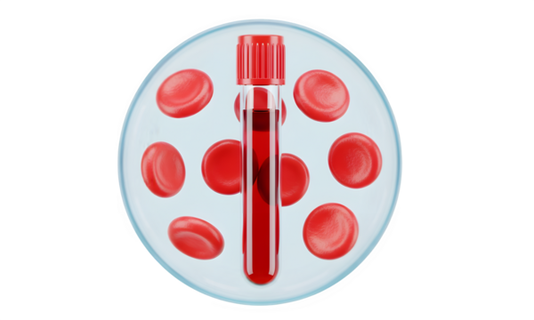 Blood sample in test tube with red blood cells isolated on transparent background
