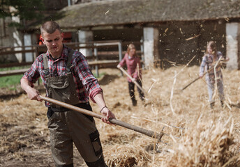 Farmers rearranging bedding for livestock with focus on man in front
