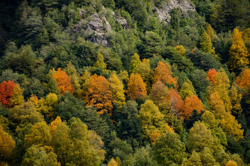 autumn, southern Chile