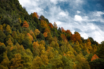 autumn, southern Chile
