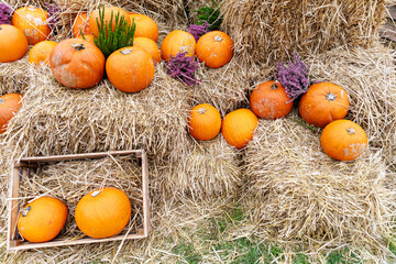 Rustic Autumn Pumpkins Display on Hay Bales - Thanksgiving Harvest Decor in Vibrant Fall Colors