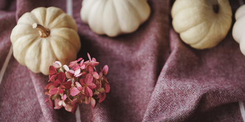 White pumpkins and pink dried hydrangea flowers on soft, textured fabric creating a warm and rustic autumn ambiance