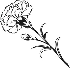 Elegant carnation flower line art illustration for design projects