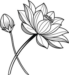 Elegant lotus flower outline drawing minimalist botanical illustration