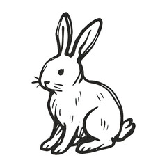 Obraz premium PNG Hand-drawn rabbit illustration sketch.
