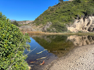 Fototapeta premium Arroyo Burro Beach park in Santa Barbara, California