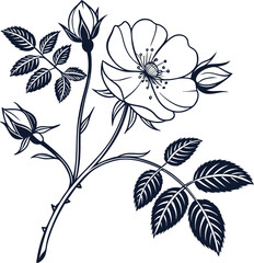 Clean minimal black outline wild rose flower line art illustration