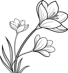 Minimal violet flower line art illustration with elegant botanical design