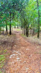 Lake Whitney State Park is a state park located in Hill County, Texas, near Whitney, Texas. The park is 775 acres.