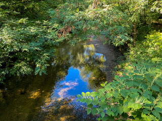Hardtgraben Bach zwischen Baden-Baden Sandweier und Iffezheim