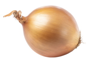 A large golden onion with a stem