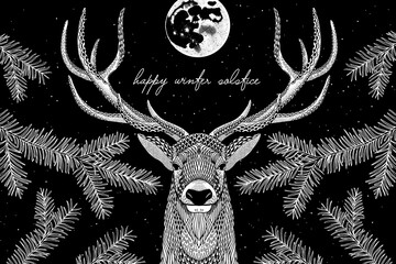 Hand Drawn Winter Solstice Illustration with a Deer and the Moon © Franzi draws