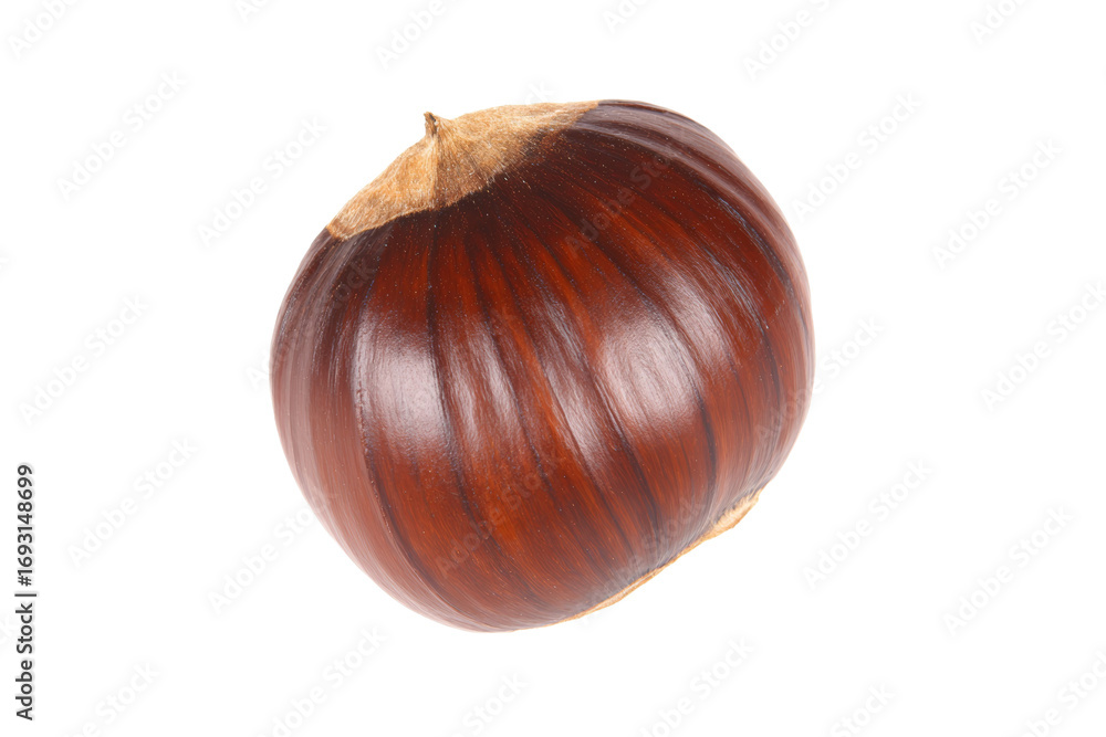 Poster close-up of single brown chestnut with smooth shell on white background