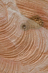 wood texture. wood, background
