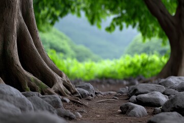 Fototapeta premium Enchanted forest pathway with lush greenery and ancient trees