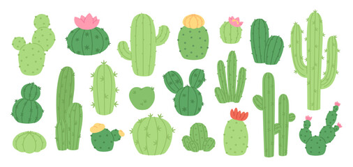 Cartoon cactus. Green blooming cacti with pink flowers. Succulents doodle set, desert plants and flower. Isolated nature elements, racy vector clipart