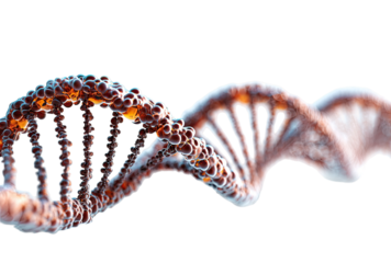 Double helix DNA structure, 3D illustration.  Complex, detailed, scientific, biological