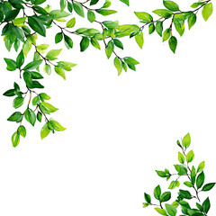 Obraz premium Vibrant green leaves framing a black background