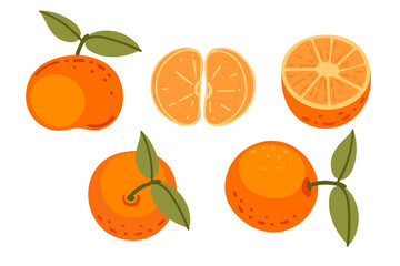Orange fruit collection. Whole citrus with green leaves, halves and slices. Fresh juicy segments in flat cartoon style. Healthy vitamin C food. Vector illustration isolated on white background