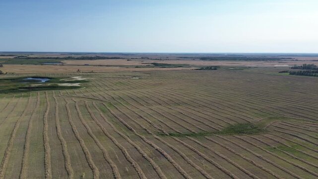 Cinematic aerial drone footage pushing in over a vast, harvested agricultural field with beautiful, textured rows of hay, revealing the immense scale of the rural landscape and modern farming.