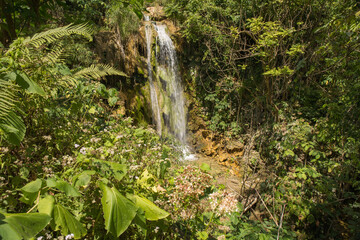 Topes de Collantes - a national natural park of Cuba