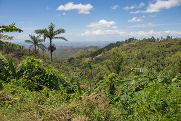 Elevated view on Topes de Collantes - a national natural park of Cuba