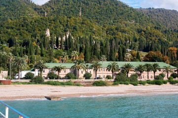 A picturesque Mediterranean bay where towering cypress trees frame a secluded beach, their dark silhouettes contrasting with the turquoise waters and golden sands.