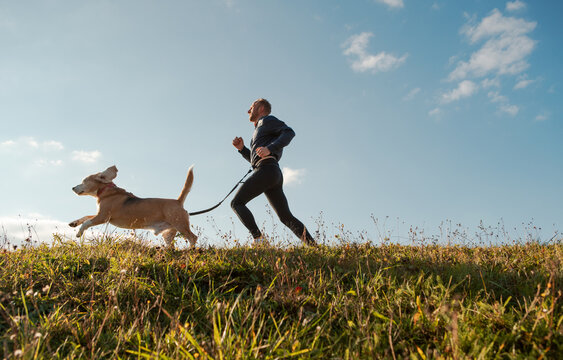 Man running with beagle dog on sunny morning outdoor field healthy lifestyle canicross exercise sport activity jogging companionship fitness training pet ownership leisure concept image