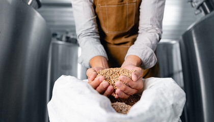 Hands holding barley grains in brewery with stainless steel tanks