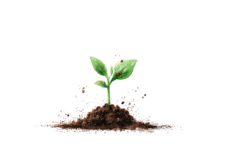 A stylized illustration of a young plant emerging from soil.