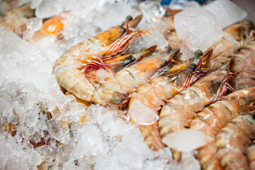 Fresh shrimp on ice at vibrant thailand fish market display, top view