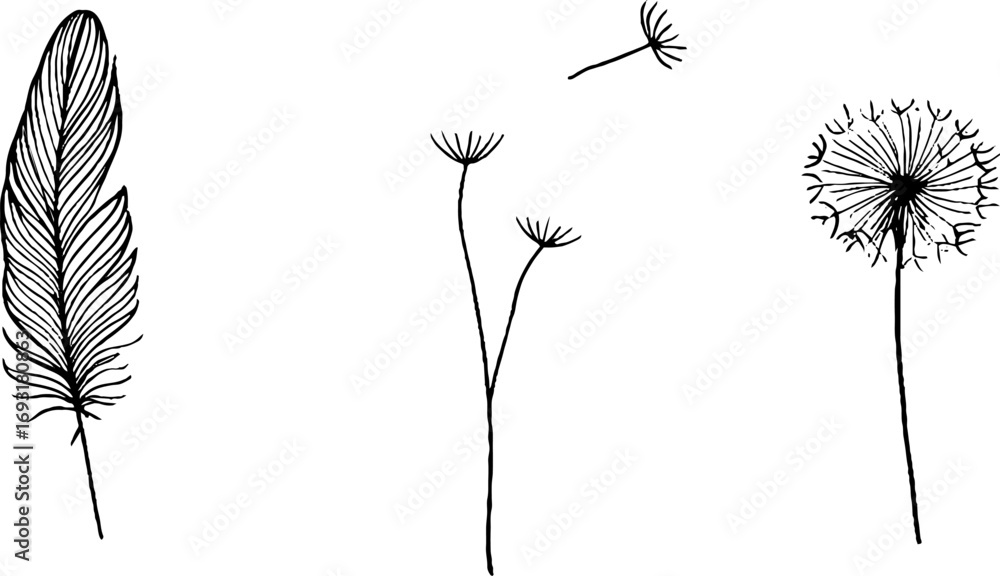 Poster minimalist line art of feather and dandelion with gentle breeze elements for design