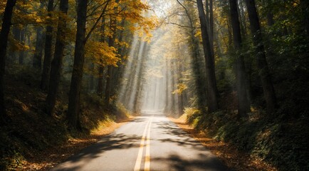 Fototapeta premium Scenic autumn road surrounded by colorful trees