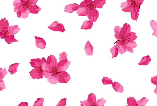 Pink cherry blossom petals scattered on black background (1)