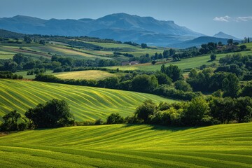 Fototapeta premium Lush rolling hills under a vibrant sky