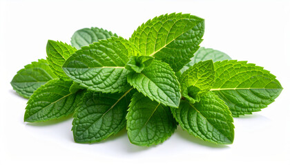 Fresh spearmint sprigs, vibrant green leaves, and intricate vein detail on a white background.