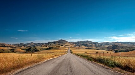 Empty road through golden fields