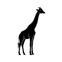 Silhouette icon of a giraffe standing tall, flat black vector