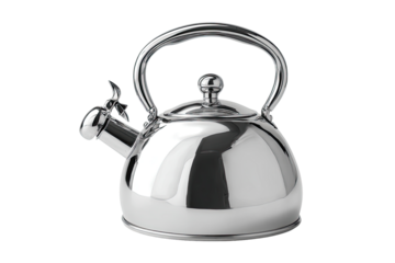 Shiny stainless steel kettle with rounded dome shape and handles