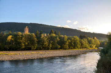 Serene natural scene showcasing a tranquil Cheremosh river surrounded by lush green forest against...