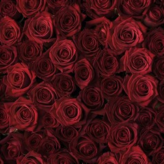 Fondo decorativo de rosas rojas frescas en primer plano creando un patrón elegante y romántico para diseño floral