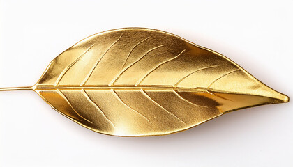 Gold Leaf Branch Isolated On White Background