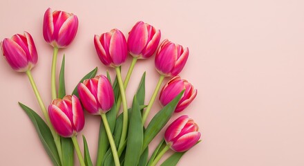 Fototapeta premium Pink Tulips Flower Bouquet on Pastel Background Floral Spring Arrangement