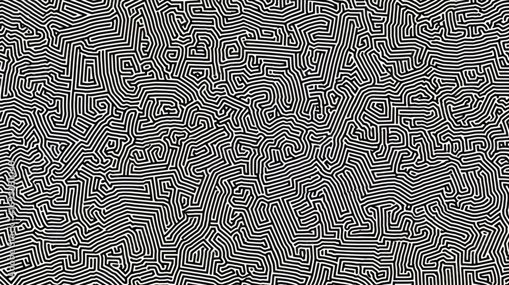 Poster black and white abstract pattern with a lot of lines. the pattern is very intricate and has a lot of