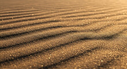 Golden Sand Dunes with Ripples and Glistening Grains Closeup