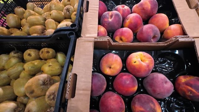 Kiwi and nectarine fruits in plastic crates and cardboard boxes in a supermarket.