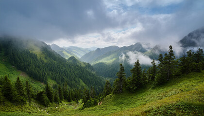 Fototapeta premium A Serene Mountain Landscape Shrouded In Mist Featuring Dense Evergreen Forests And Rugged Slopes Under A Cloudy Sky