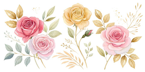 Luxury Watercolor Roses with Gold Accents PNG Set &ndash; Hand-Painted Elegant Flowers Isolated on Transparent Background